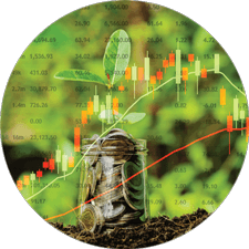 Mutual Funds
