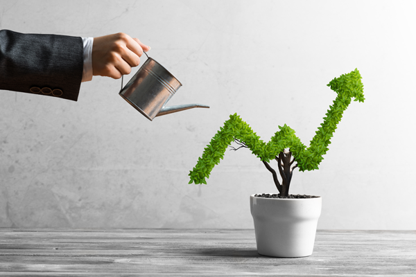 Linked Term Deposit